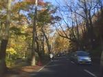 20090922b.jpg